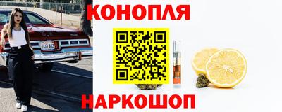 амф Лесосибирск
