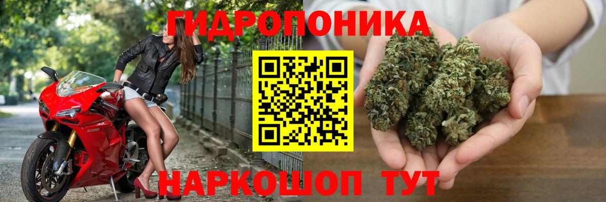 Бошки марихуана гибрид Грозный